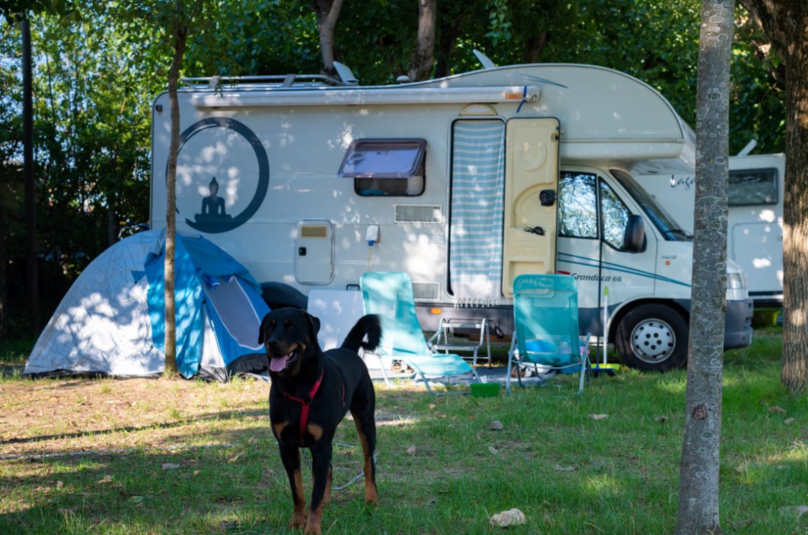 Unterkunftsfotos - Stellplatz Plus | Camping Adriatico